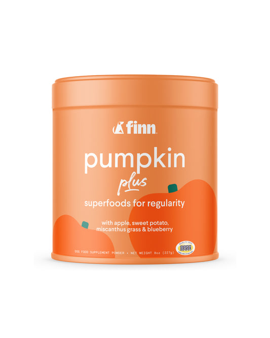 Pumpkin Plus