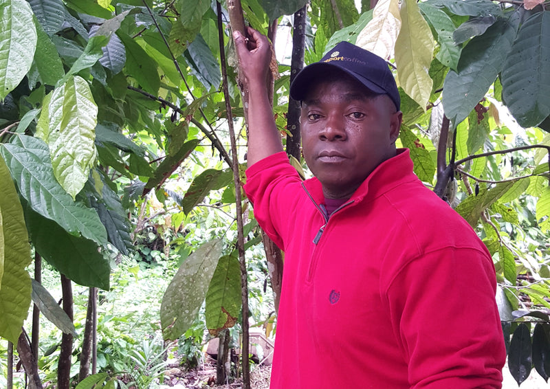 Raising the Bar for Coffee: Amani Founders Q&A