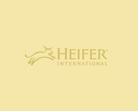 Collaborating and Contributing: Hive and Heifer International