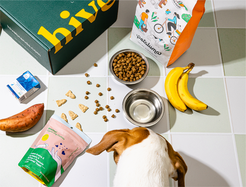 Sustainable Pet Food: What You Need to Know