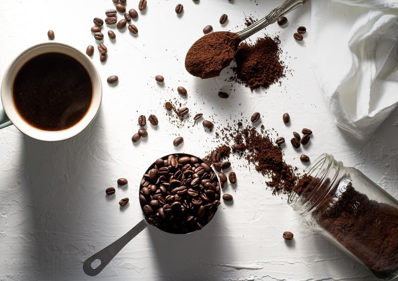 Coffee Sourcing: What to Look For and How to Find It