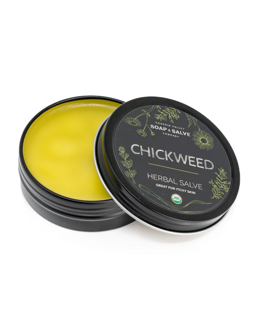 Chickweed Salve