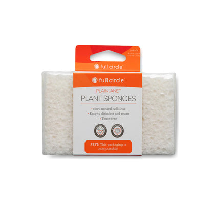 Plain Jane Plant Sponge - Set of 3