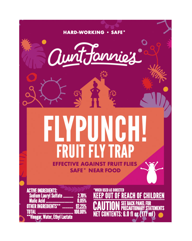 Aunt Fannie's FlyPunch Fruit Fly Trap (2 Pack): for Indoor and Kitchen