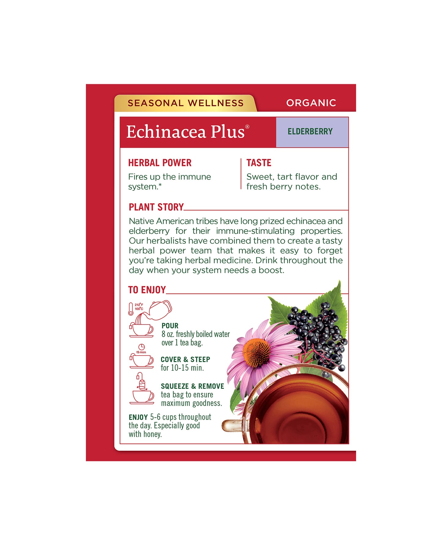 Organic Echinacea Plus Elderberry Tea